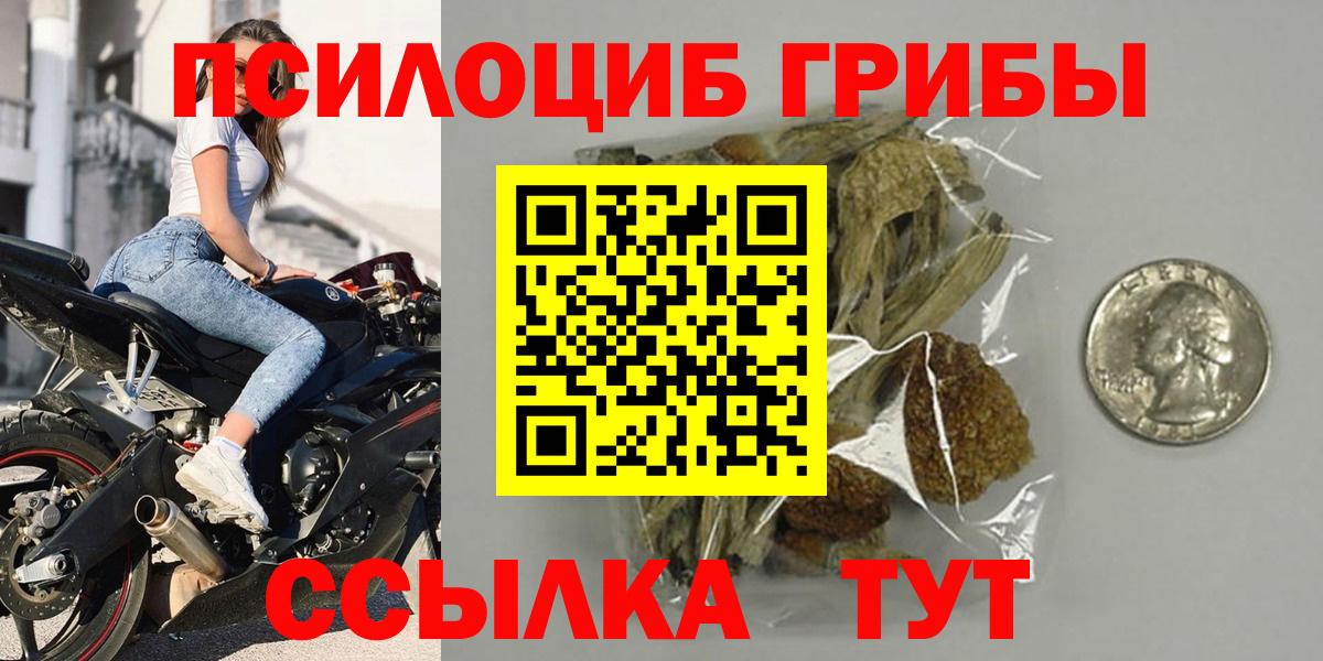 Иваново  Галлюциногенные грибы Cubensis  Псилоцибиновые грибы MAGIC MUSHROOMS  Вход с VPN 